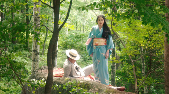 the handmaiden